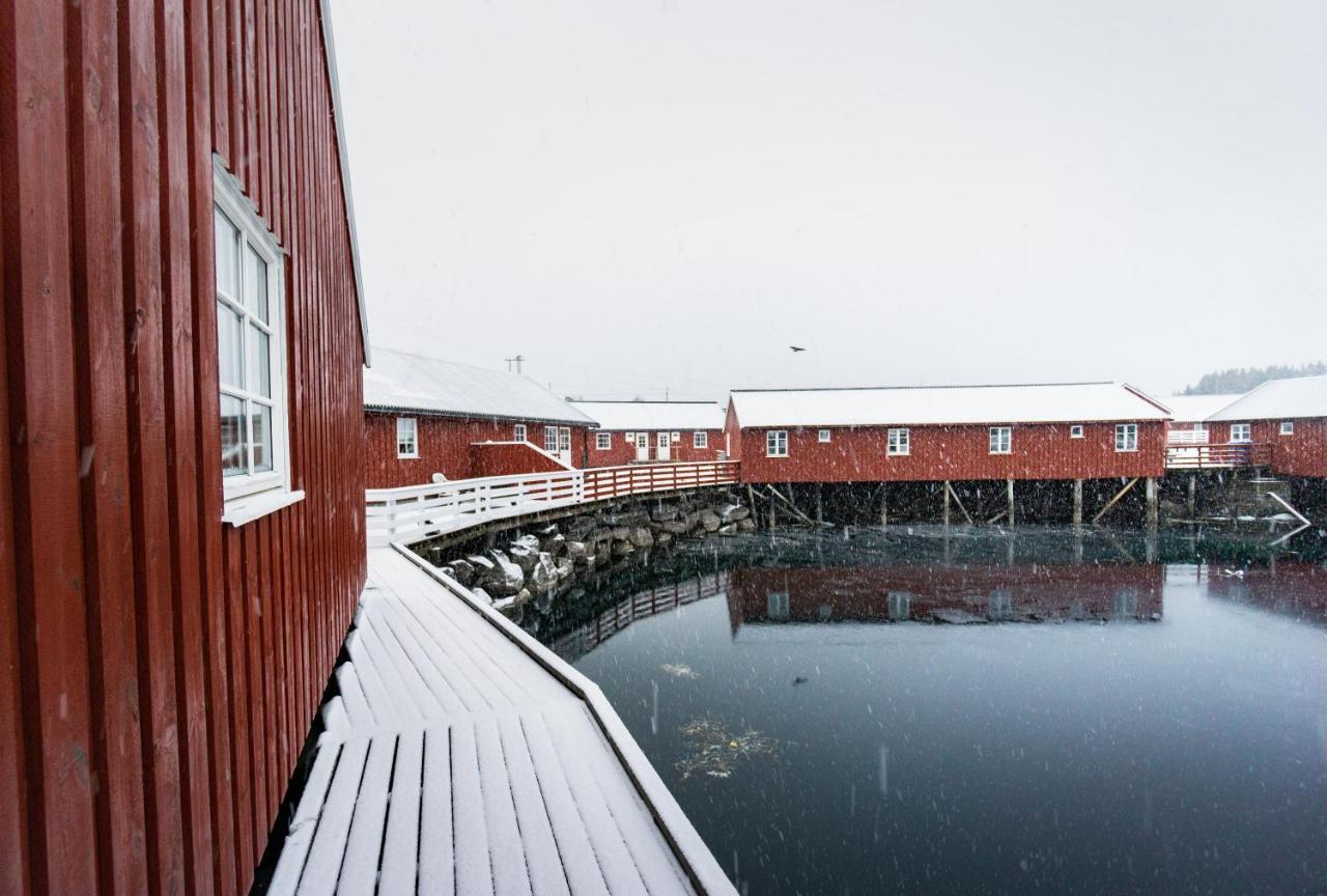 Lofoten Cabin And Kayak Rental Stamsund Eksteriør billede