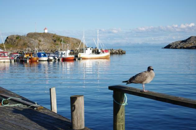 Lofoten Cabin And Kayak Rental Stamsund Eksteriør billede